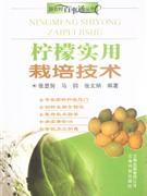 檸檬實用栽培技術 檸檬實用栽培技術