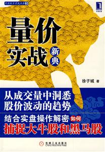量價實戰新典 量價實戰新典