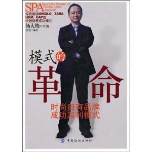 模式的革命 模式的革命