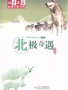 北極奇遇 北極奇遇