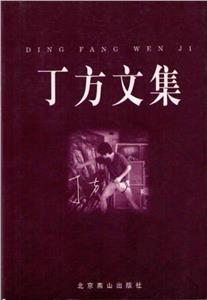 丁方文集 丁方文集