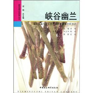 峽谷幽蘭 峽谷幽蘭