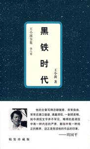 王小波全集第八卷黑鐵時(shí)代 王小波全集第八卷黑鐵時(shí)代