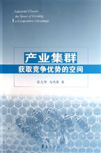 產業集群(獲取競爭優勢的空間) 產業集群(獲取競爭優勢的空間)