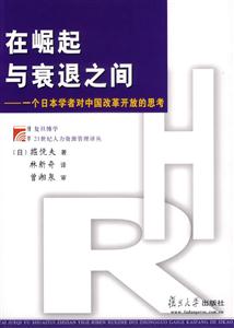 在崛起與衰退之間 在崛起與衰退之間
