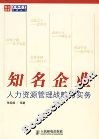 知名企業(yè)人力資源管理戰(zhàn)略與實(shí)務(wù)