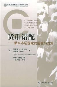 貨幣錯配新興市場國家的困境與對策 貨幣錯配新興市場國家的困境與對策