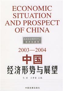 中國經濟形勢與展望20032004 中國經濟形勢與展望20032004