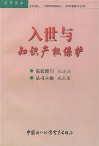 入世與知識產權保護 入世與知識產權保護