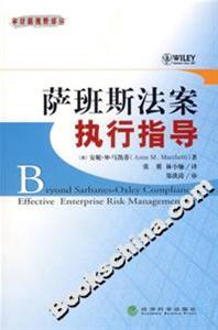 薩班斯法案執行指導 薩班斯法案執行指導