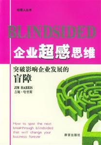 企業超感思維:突破影響企業發展的盲障 企業超感思維:突破影響企業發展的盲障