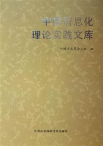 中國信息化理論實踐文庫:1 中國信息化理論實踐文庫:1