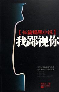 我鄙視你:長篇揭黑小說 我鄙視你:長篇揭黑小說