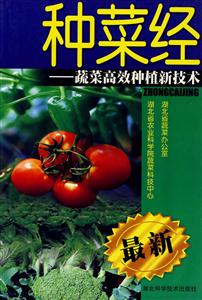 種菜經(jīng):蔬菜高效種植新技術 種菜經(jīng):蔬菜高效種植新技術