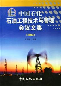 中國石化石油工程技術與管理會議文集(2004) 中國石化石油工程技術與管理會議文集(2004)