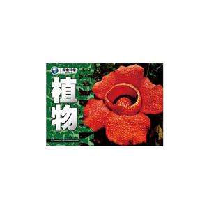 植物