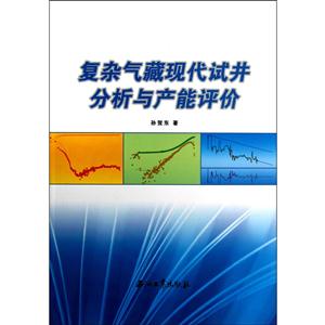 復(fù)雜氣藏現(xiàn)代試井分析與產(chǎn)能評(píng)價(jià) 復(fù)雜氣藏現(xiàn)代試井分析與產(chǎn)能評(píng)價(jià)