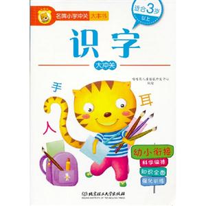 識字大沖關名牌小學沖關大本書適合3歲以上幼小銜接 識字大沖關名牌小學沖關大本書適合3歲以上幼小銜接