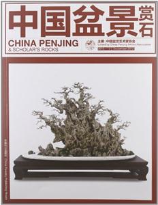 中國盆景賞石201212 中國盆景賞石201212