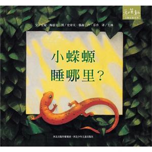 和英童書萬物有情系列小蠑螈睡哪里 和英童書萬物有情系列小蠑螈睡哪里