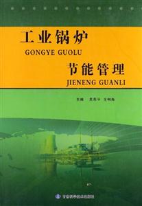 工業鍋爐節能管理 工業鍋爐節能管理