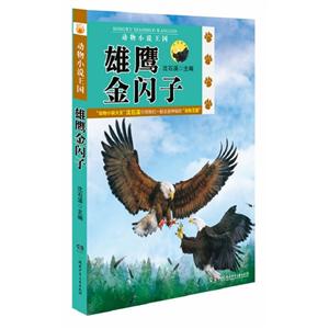 雄鷹金閃子動(dòng)物小說(shuō)王國(guó) 雄鷹金閃子動(dòng)物小說(shuō)王國(guó)
