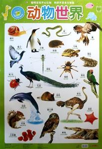 新小海豚掛圖動物世界 新小海豚掛圖動物世界