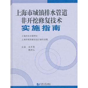 上海市城鎮排水管道非開挖修復技術實施指南 上海市城鎮排水管道非開挖修復技術實施指南