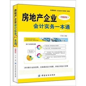 房地產企業會計實務一本通(圖解版)