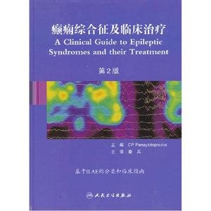 癲癇綜合征及臨床治療第2版 癲癇綜合征及臨床治療第2版
