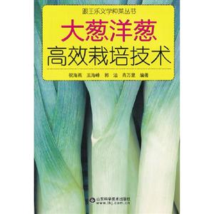 大蔥洋蔥高效栽培技術 大蔥洋蔥高效栽培技術