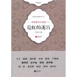 霓虹的迷宮中國都市小說選第三輯 霓虹的迷宮中國都市小說選第三輯