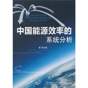 中國能源效率的系統分析 中國能源效率的系統分析