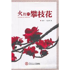 火紅的攀枝花 火紅的攀枝花