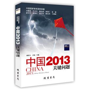 中國2013關(guān)鍵問題 中國2013關(guān)鍵問題