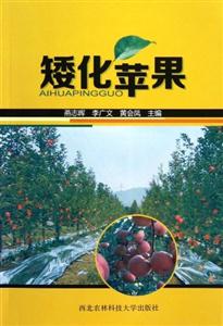 矮化蘋果 矮化蘋果