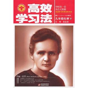九年級化學下配套人民教育出版社教科書高效學習法