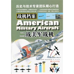 二戰(zhàn)美軍戰(zhàn)機(jī) 二戰(zhàn)美軍戰(zhàn)機(jī)