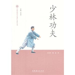 少林功夫 少林功夫