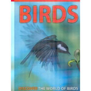 BIRDS BIRDS