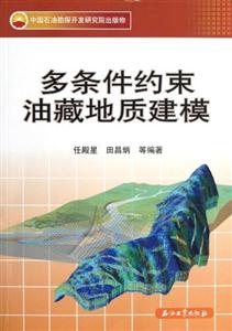 多條件約束油藏地質(zhì)建模 多條件約束油藏地質(zhì)建模