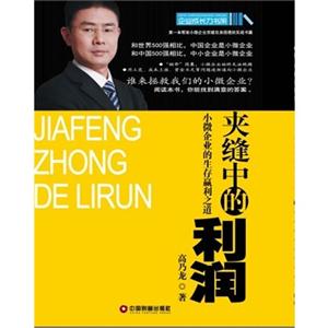 夾縫中的利潤小微企業的生存贏利之道 夾縫中的利潤小微企業的生存贏利之道