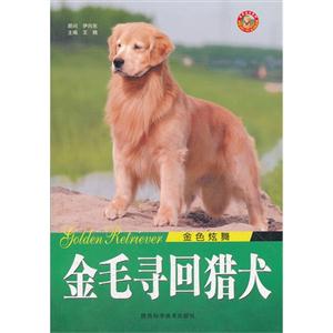金毛尋回獵犬 金毛尋回獵犬