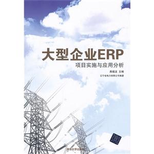 大型企業ERP項目實施與應用分析 大型企業ERP項目實施與應用分析