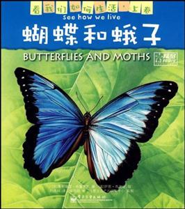 蝴蝶和蛾子