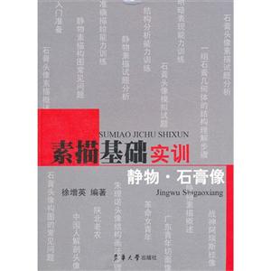 素描基礎(chǔ)實訓(xùn)靜物石膏像 素描基礎(chǔ)實訓(xùn)靜物石膏像