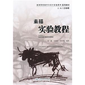 素描實驗教程