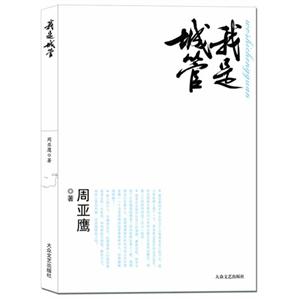 我是城管