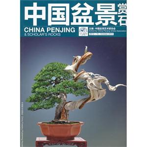 中國盆景賞石201210 中國盆景賞石201210
