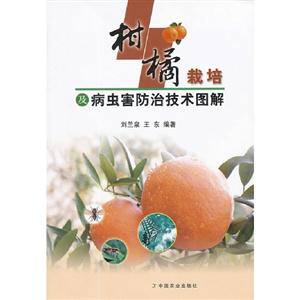 樹橘栽培及病蟲害防治技術圖解 樹橘栽培及病蟲害防治技術圖解